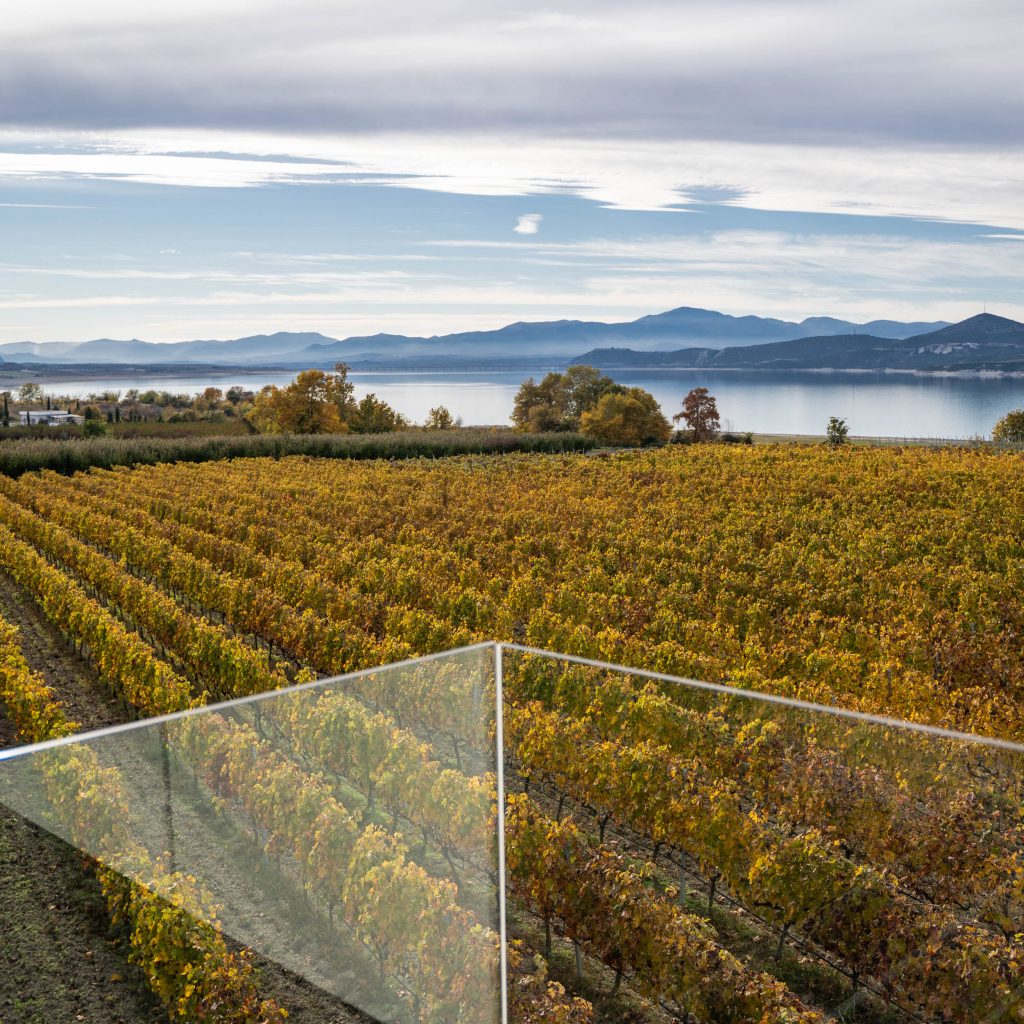 Εγκαταστάσεις οινοποιείου την λίμνη © Κτήμα Βογιατζή