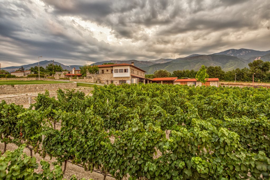 Εγκαταστάσεις Αμπελώνα Καμκούτη